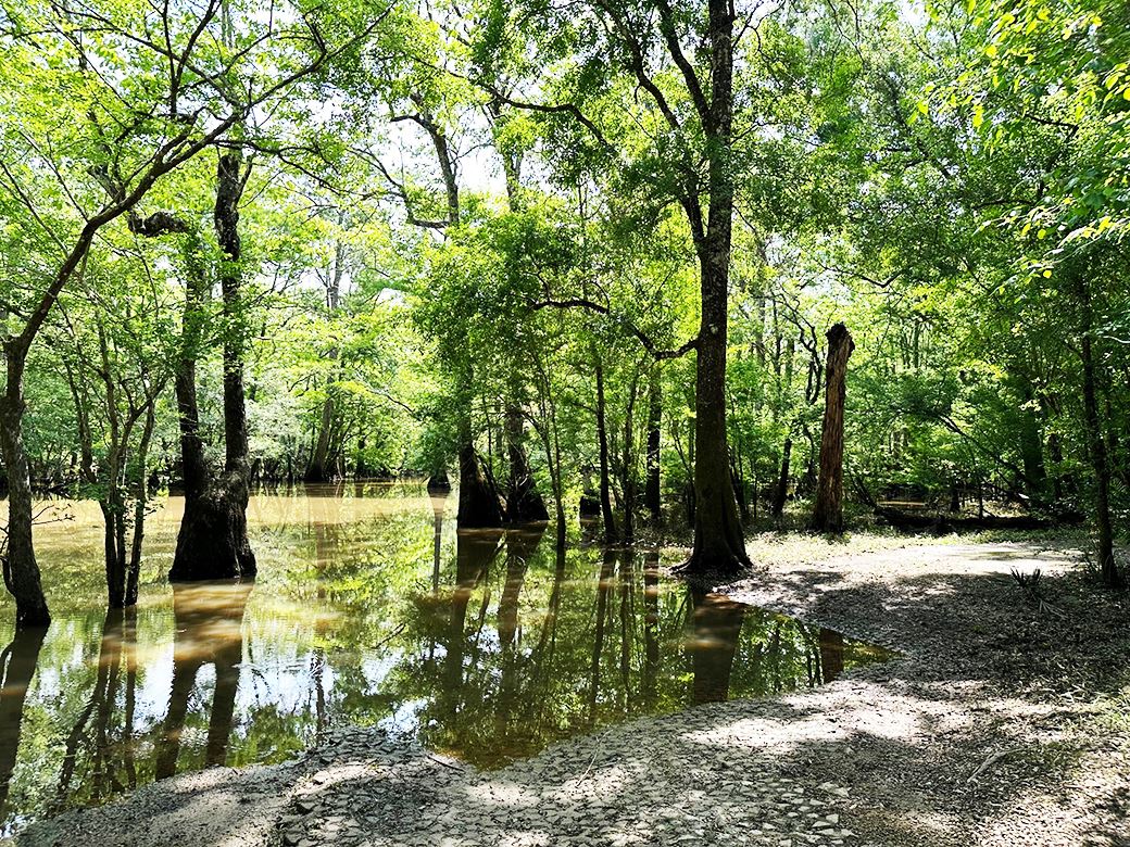 Tilley Landing Park picture 