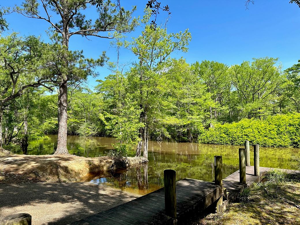 Picture of Dead River Landing 