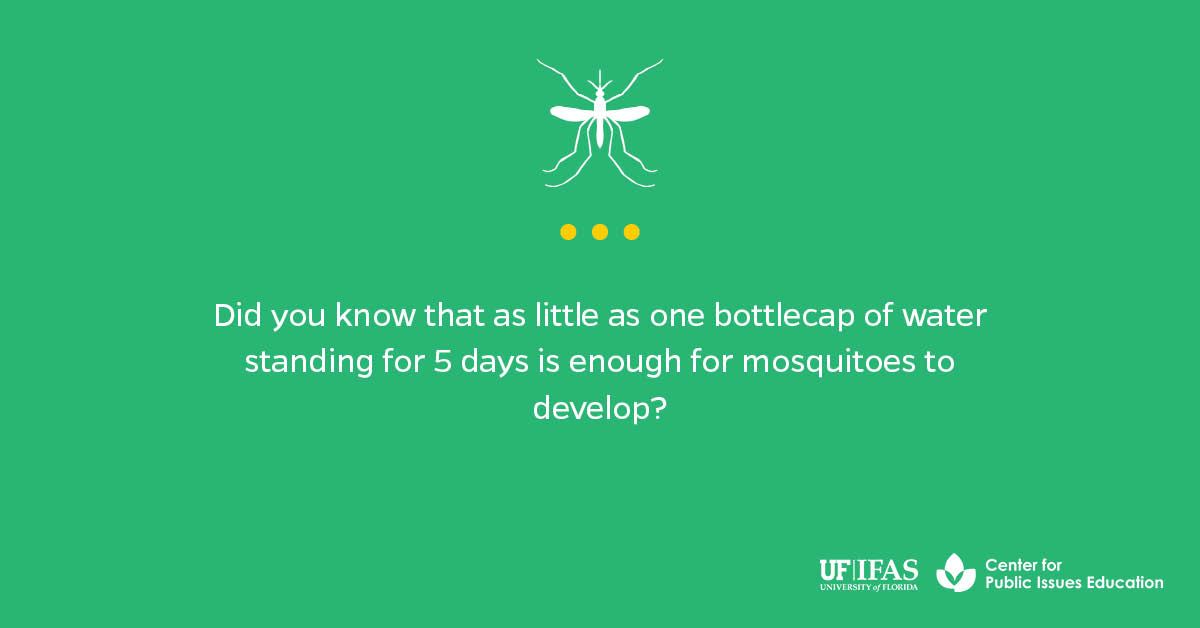 Mosquito Control Flyer Education