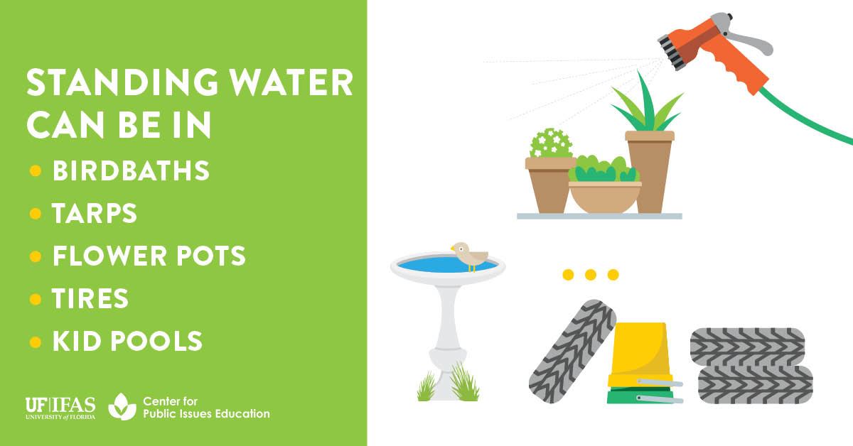 Standing Water Information