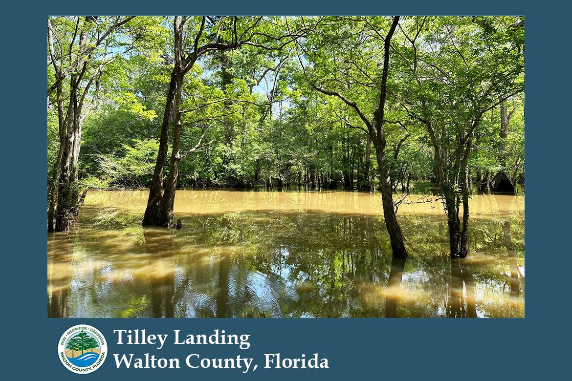 Tilley Landing Picture