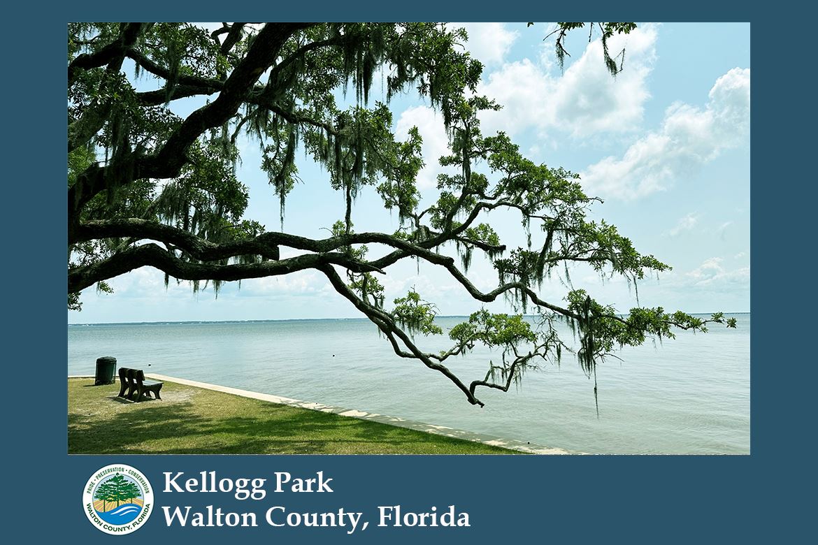 Picture of Kellogg Park 